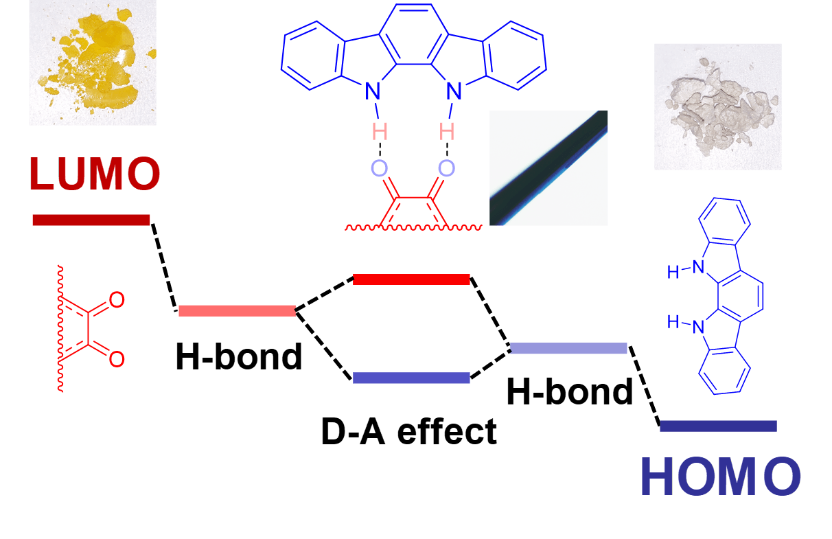 Hydrogen bond